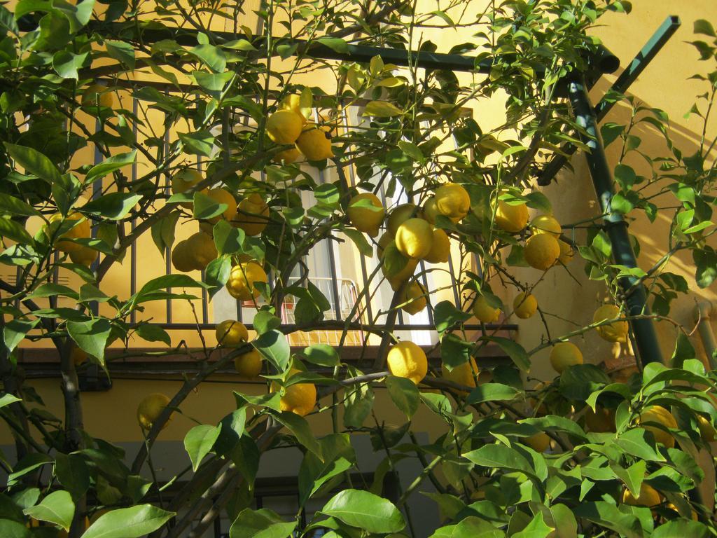 Holiday Home Il Borgo Degli Agrumi Uzzano Exteriér fotografie