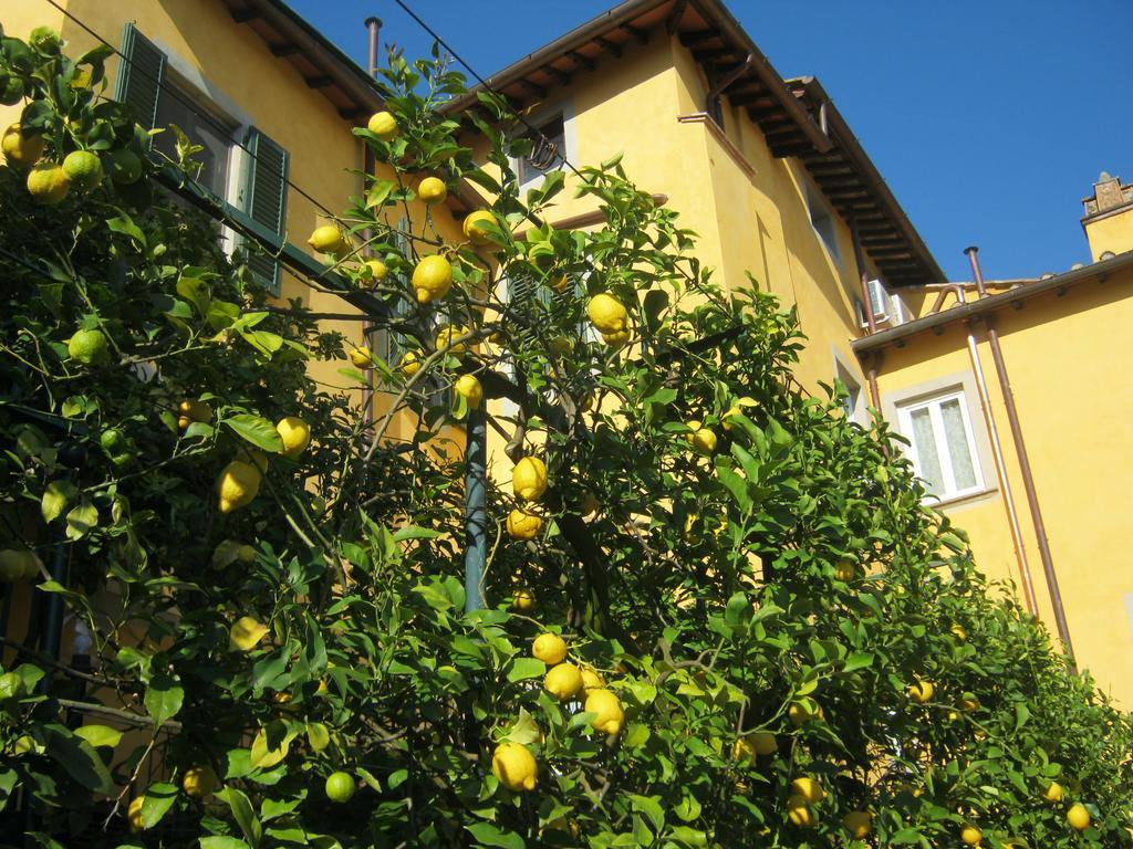 Holiday Home Il Borgo Degli Agrumi Uzzano Exteriér fotografie